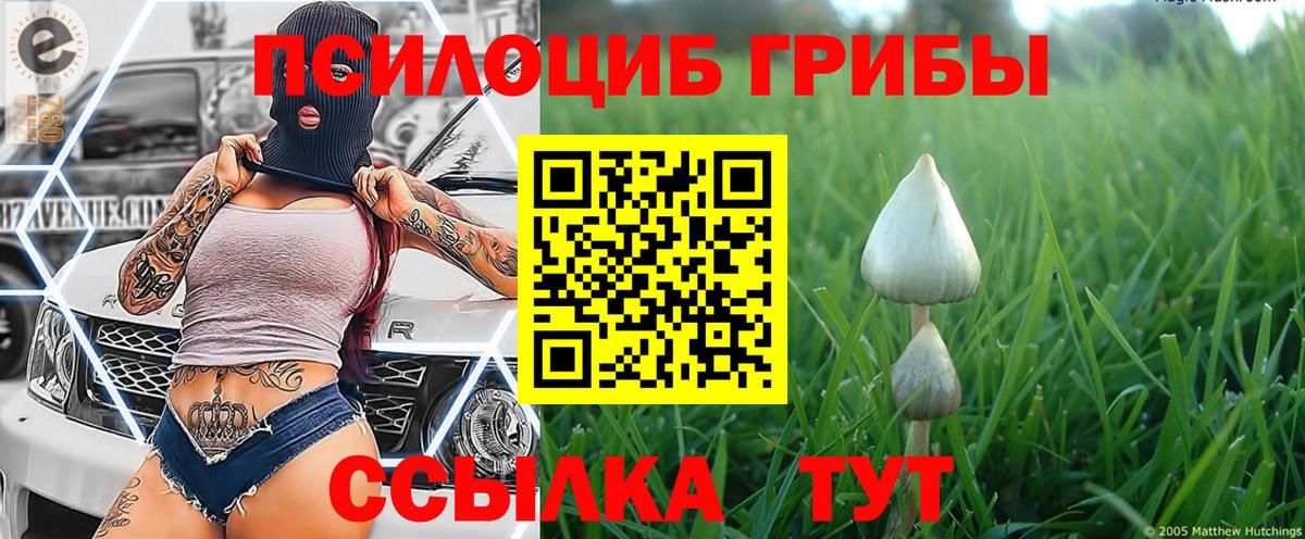 Псилоцибиновые грибы Magic Shrooms Лесной