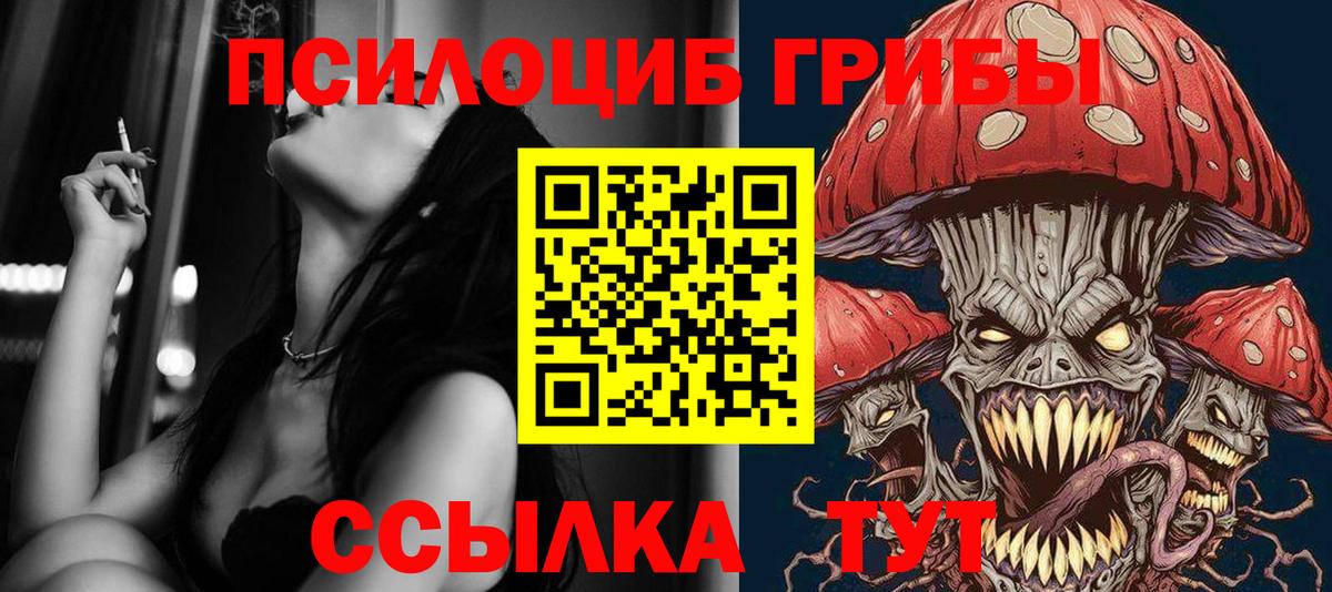 Лесной  Галлюциногенные грибы MAGIC MUSHROOMS  Вход с VPN 